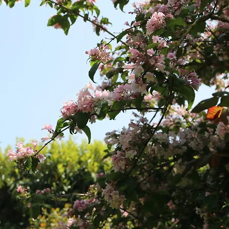 Avec Piscine Et Bain Nordique Proche Des Plages Du Debarquement Le Manoir (Calvados)
