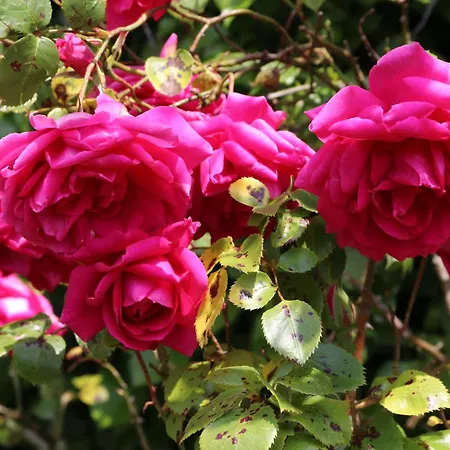 Avec Piscine Et Bain Nordique Proche Des Plages Du Debarquement *
