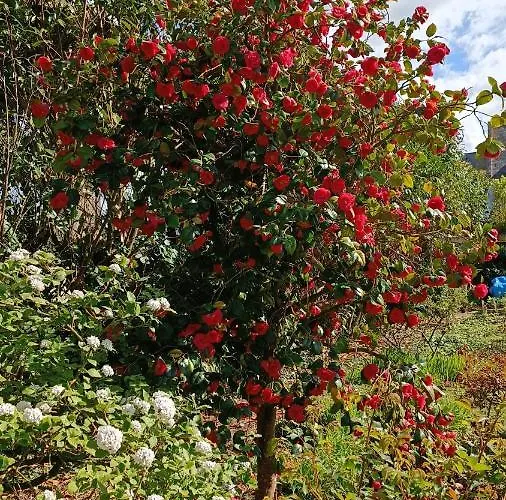 Avec Piscine Et Bain Nordique Proche Des Plages Du Debarquement Le Manoir (Calvados)
