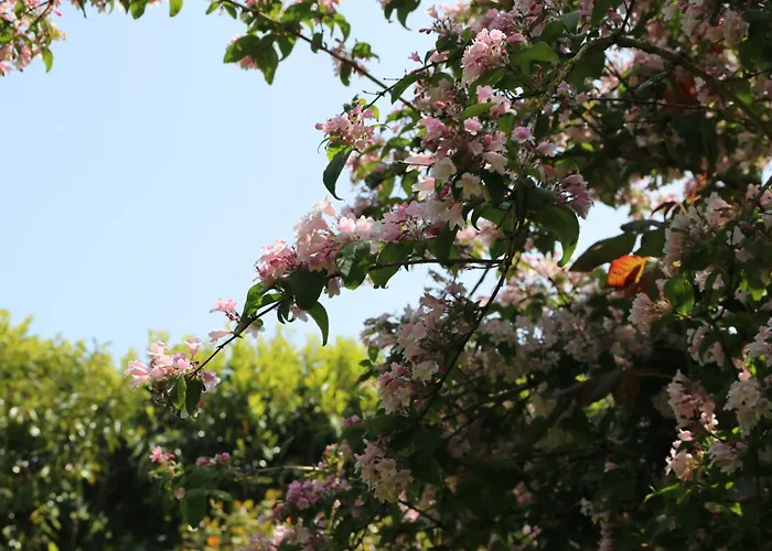 Avec Piscine Et Bain Nordique Proche Des Plages Du Debarquement Le Manoir (Calvados)