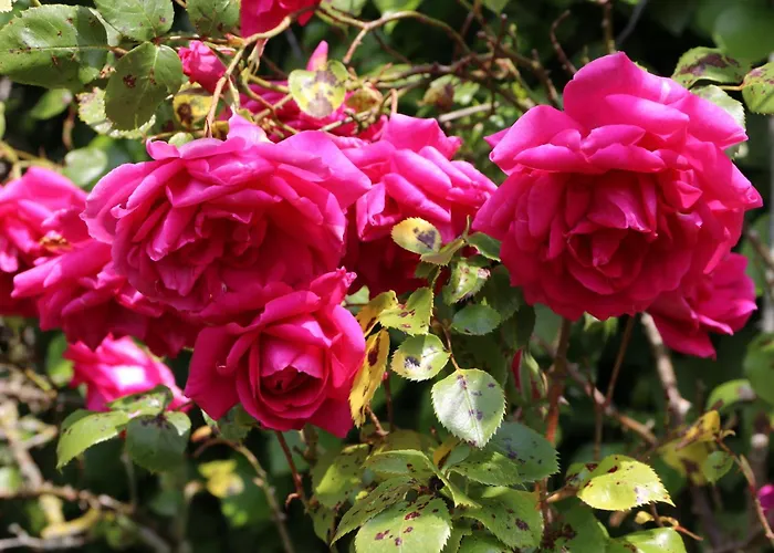 Avec Piscine Et Bain Nordique Proche Des Plages Du Debarquement *